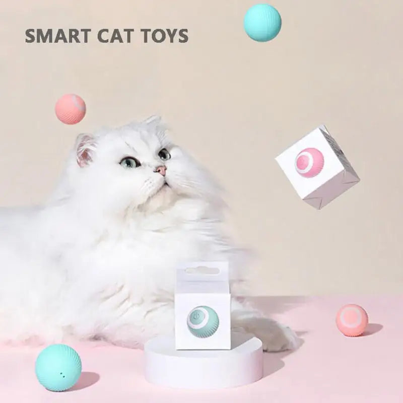 Smart Kitten Playing Ball USB Charging