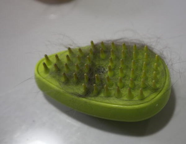 Pet spray massage comb for cats and dogs